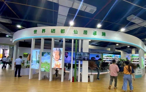 建南多款產品閃耀硒博會，舞今信息引領科技新風尚