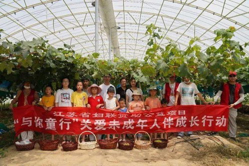 農業技術新突破 奇特葡萄品種的首次亮相
