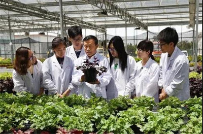 扎根濰坊大地，助力‘三農’發展 濰坊職業學院的農業技術研究實踐