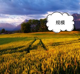 科技賦能農業，智慧引領電商——為農產品電商領域中的農業技術研究者點贊