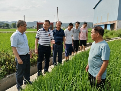 我區啟動全國五星鄉鎮農技推廣機構復核工作，深化農業技術研究與應用